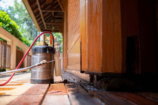 Best Ant Control Services  in Winona, MS