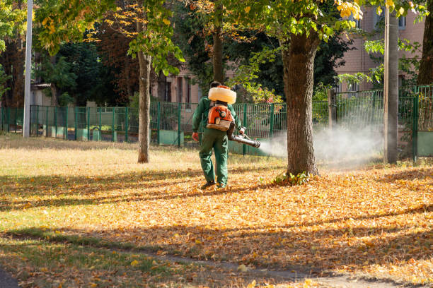 Best Residential Pest Control  in Winona, MS