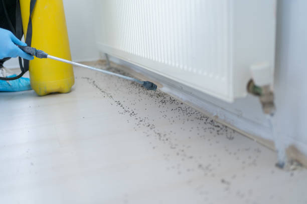 Best Wasp Removal Services  in Winona, MS