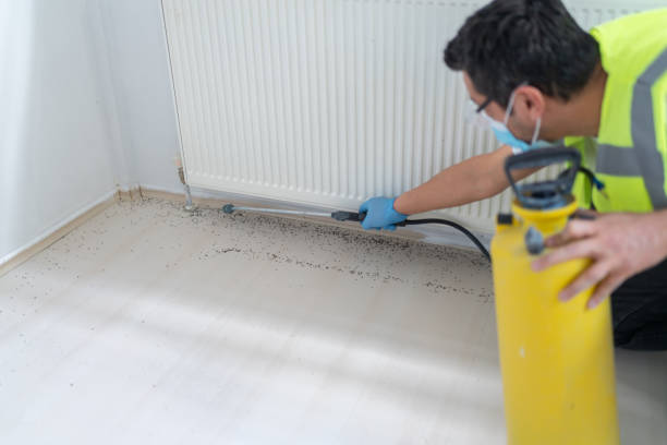 Best Termite Control Services  in Winona, MS