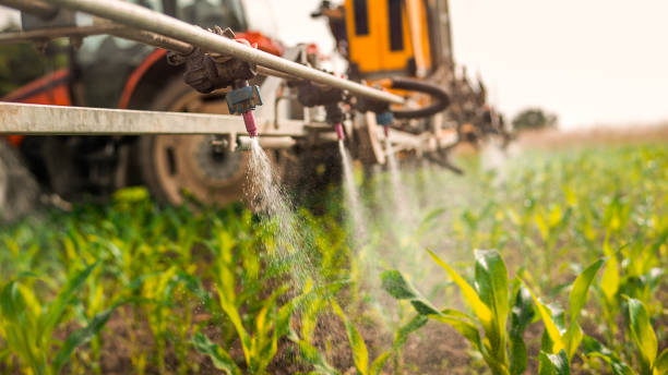Best Best Pest Control Companies  in Winona, MS